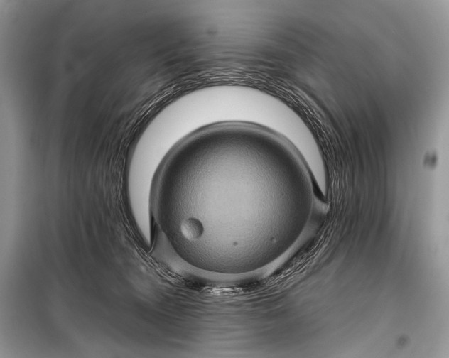 X0000099290372200805161330