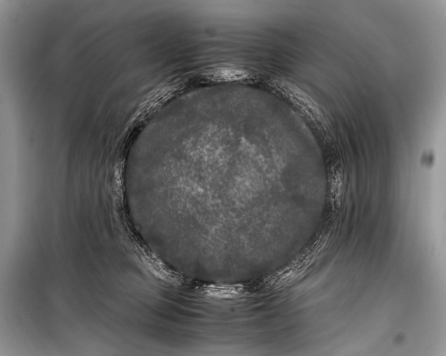 X0000099290373200805161330