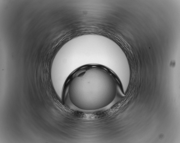 X0000099290376200805161331