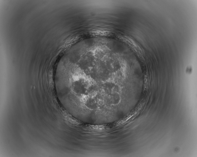 X0000099290377200805161331