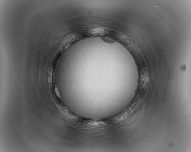 X0000099290379200805161331