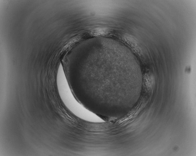 X0000099290380200805161331