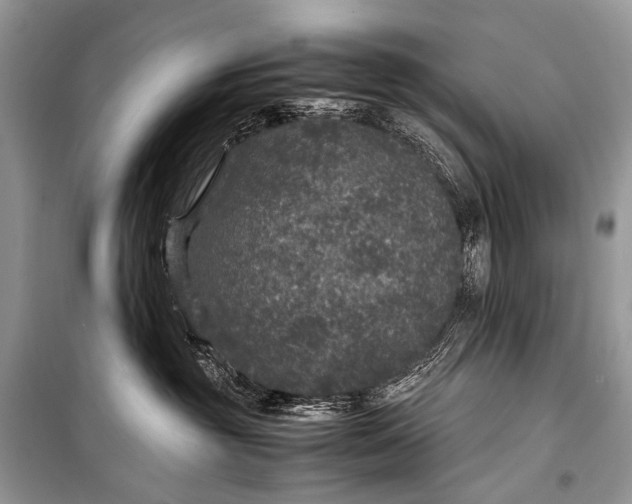 X0000099290381200805161331