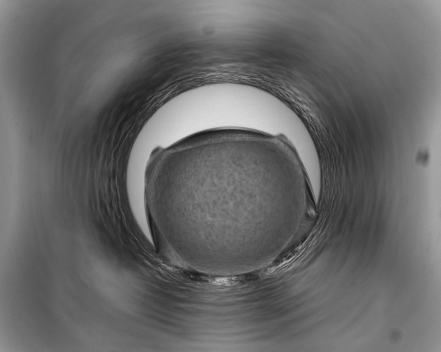 X0000099290382200805161331