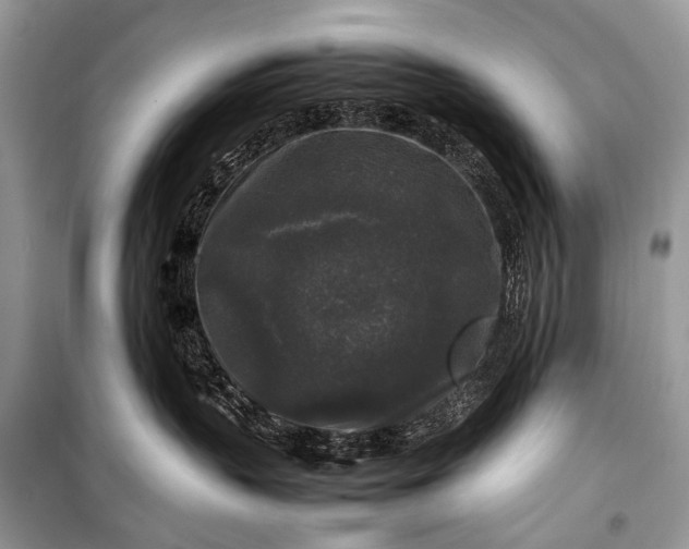 X0000099290383200805161331