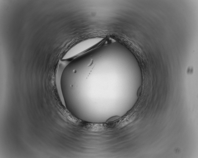 X0000099290384200805161331