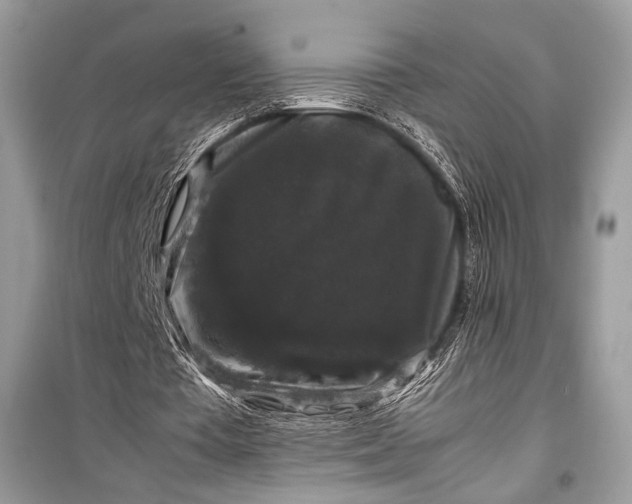 X0000099290385200805161330