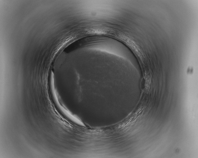 X0000099290386200805161330