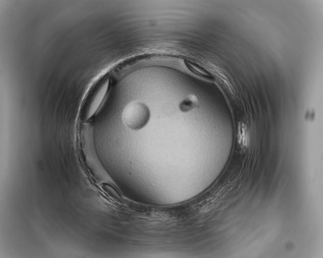 X0000099290388200805161330