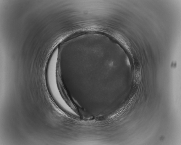 X0000099290389200805161330