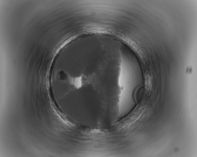 X0000099290390200805161330