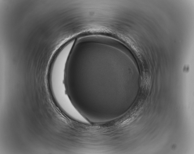 X0000099290391200805161330