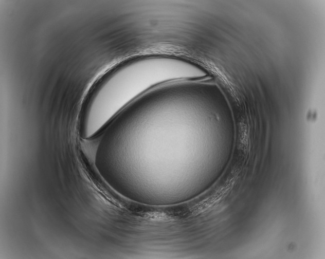 X0000099290392200805161330