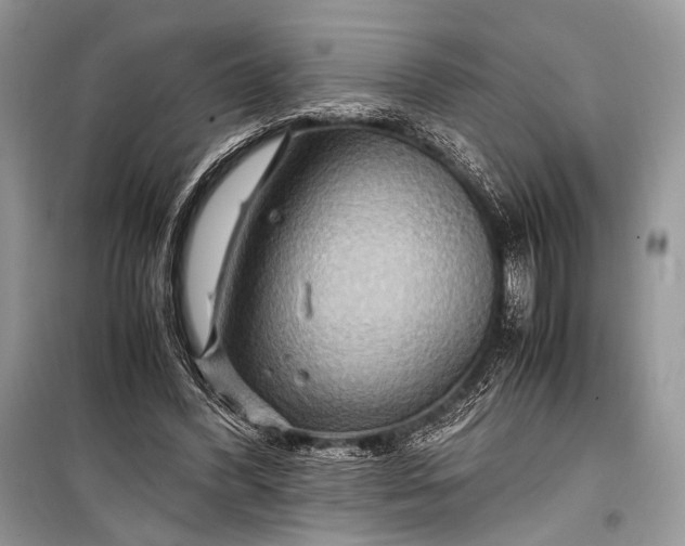 X0000099290396200805161330