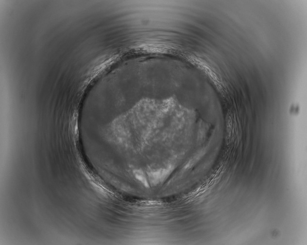 X0000099290398200805161330