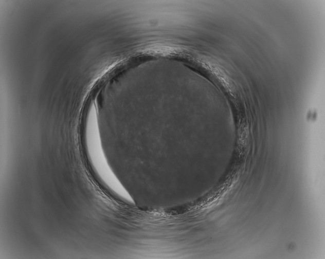 X0000099290399200805161330