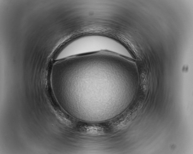 X0000099290400200805161330