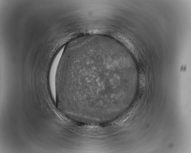 X0000099290401200805161330