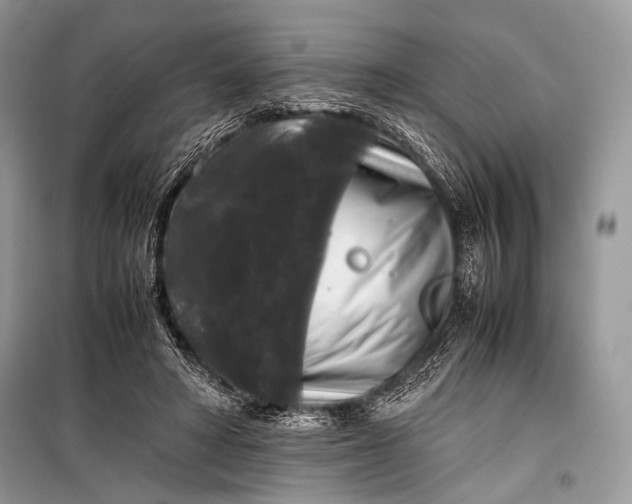 X0000099290402200805161330