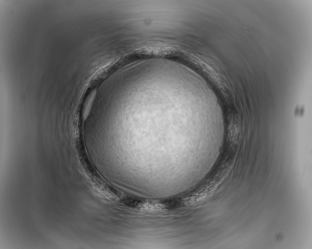 X0000099290403200805161330