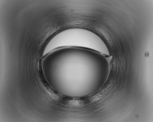 X0000099290404200805161330