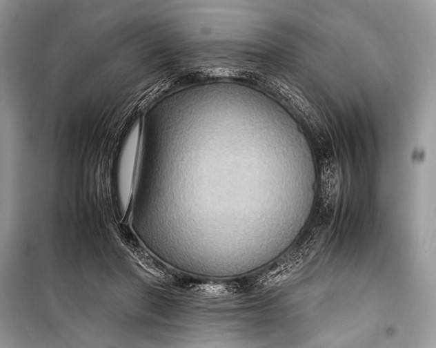 X0000099290406200805161330