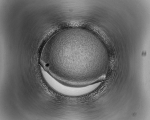 X0000099290407200805161330