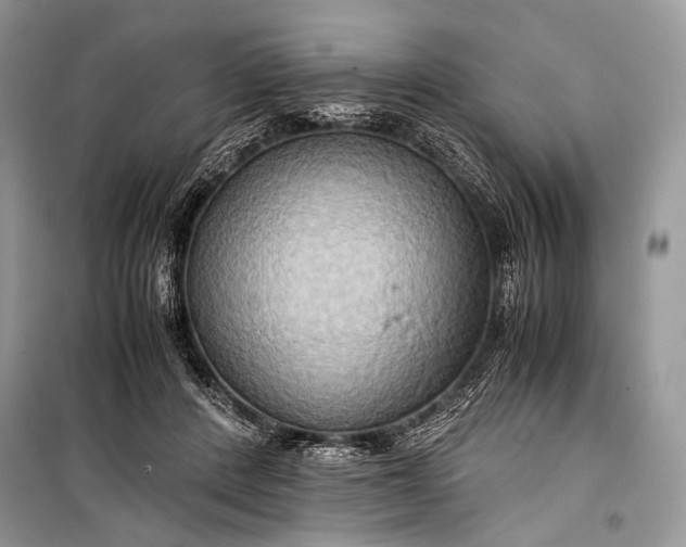 X0000099290408200805161330