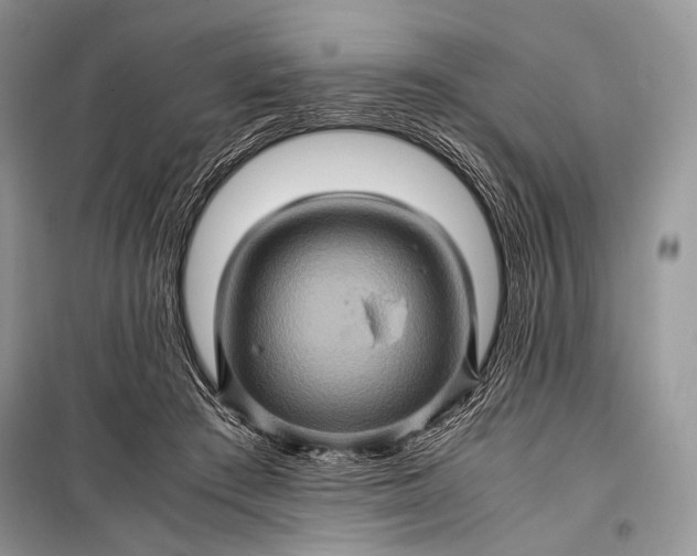 X0000099290409200805161330