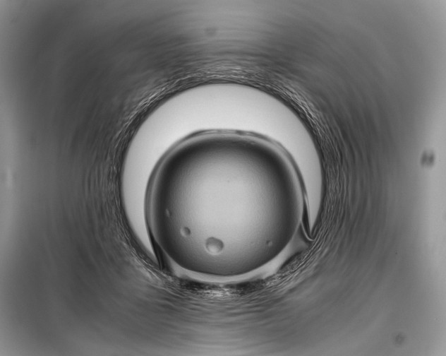 X0000099290411200805161330