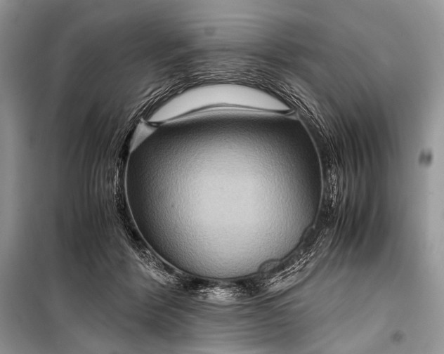 X0000099290412200805161330