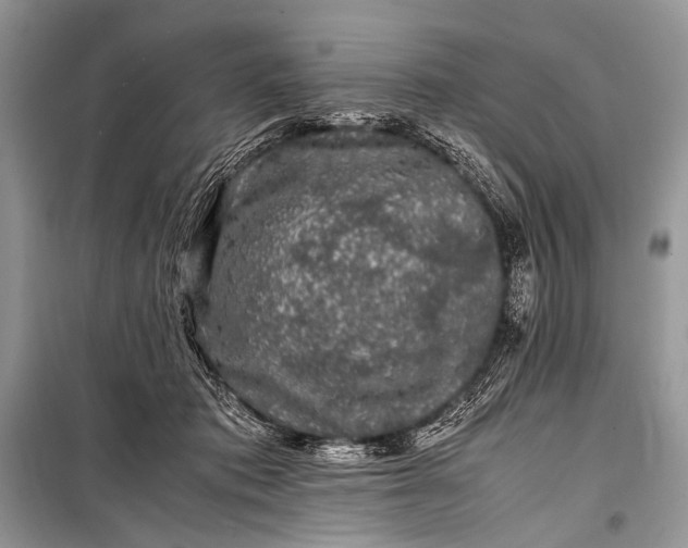 X0000099290413200805161330