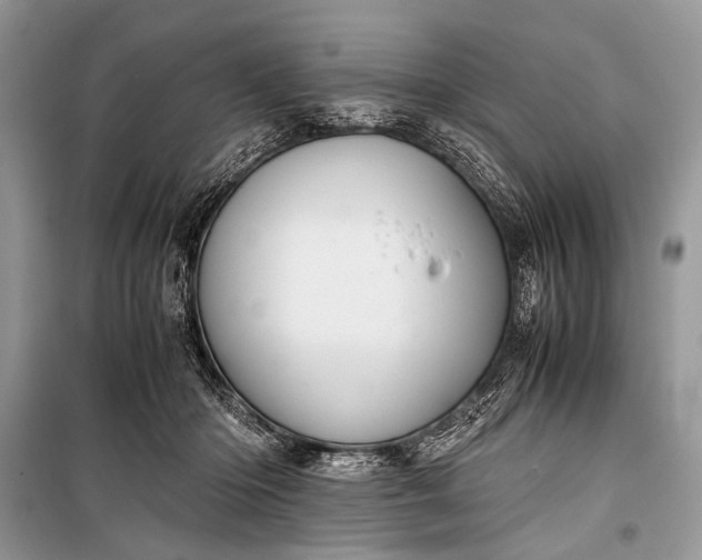 X0000099290414200805161330