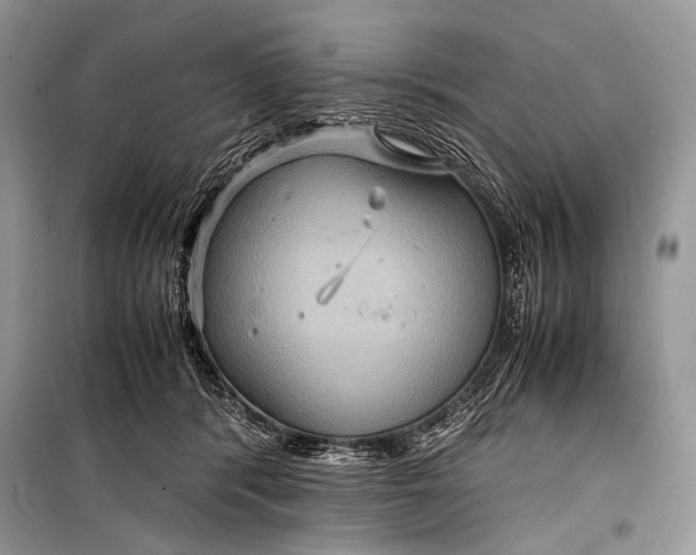 X0000099290416200805161330