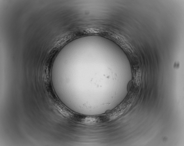 X0000099290418200805161330