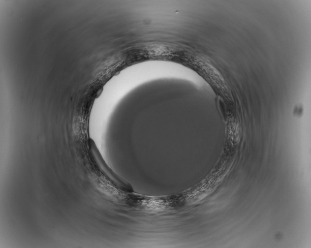 X0000099290419200805161329