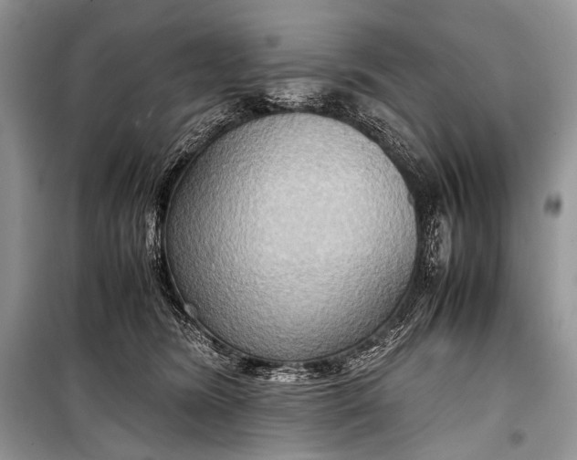 X0000099290420200805161329