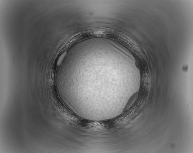 X0000099290421200805161329