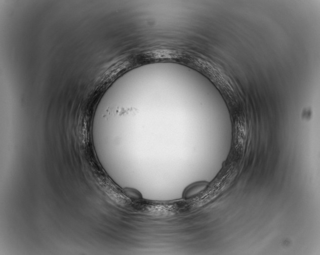 X0000099290422200805161329