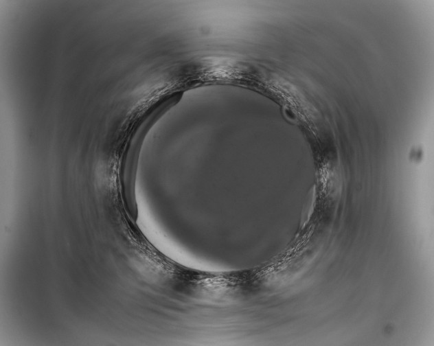 X0000099290423200805161329