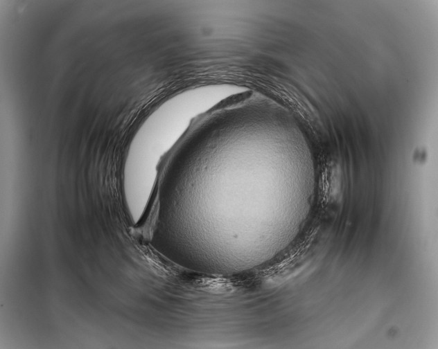 X0000099290424200805161329