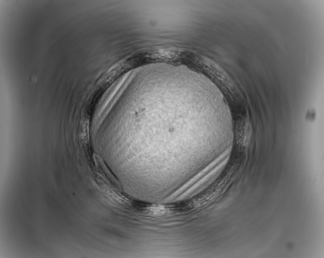 X0000099290425200805161329