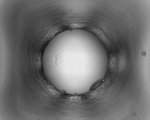 X0000099290426200805161329