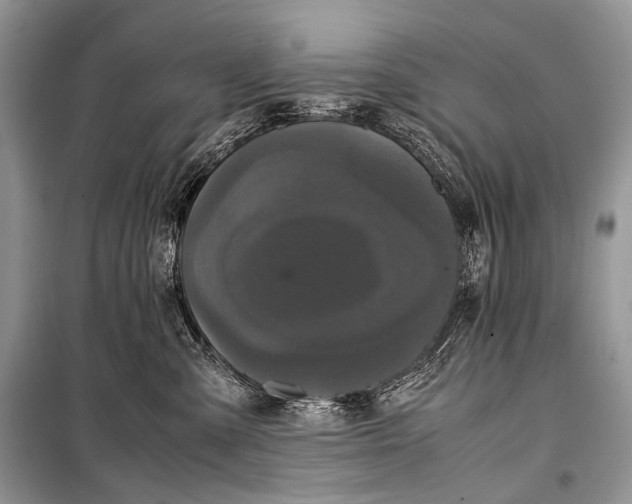 X0000099290427200805161329