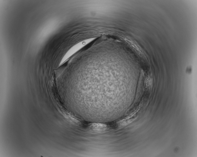 X0000099290429200805161329