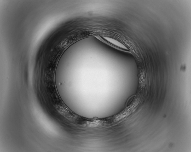 X0000099290430200805161329