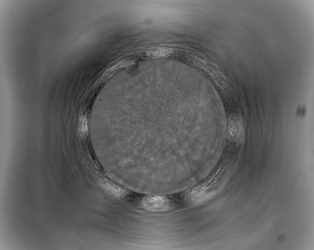 X0000099290431200805161329