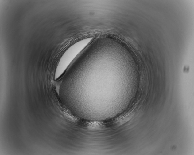 X0000099290432200805161329