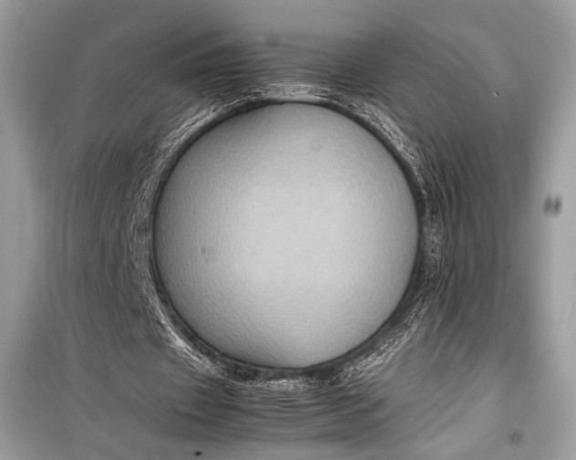 X0000099290433200805161328