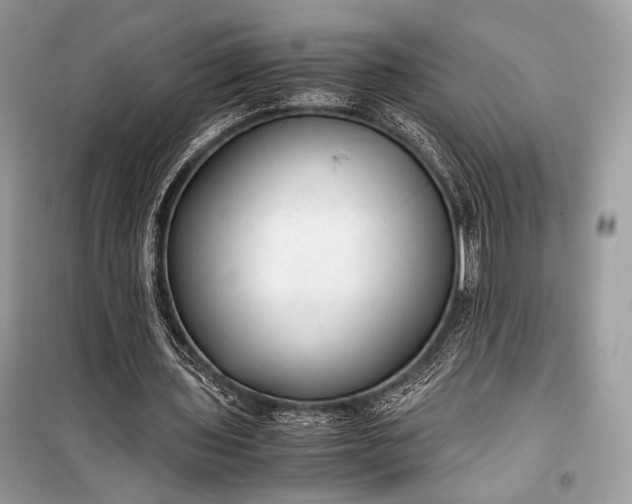 X0000099290435200805161328